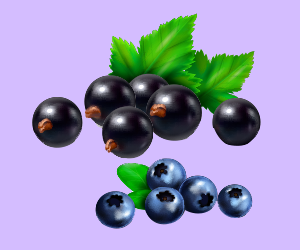 Berries