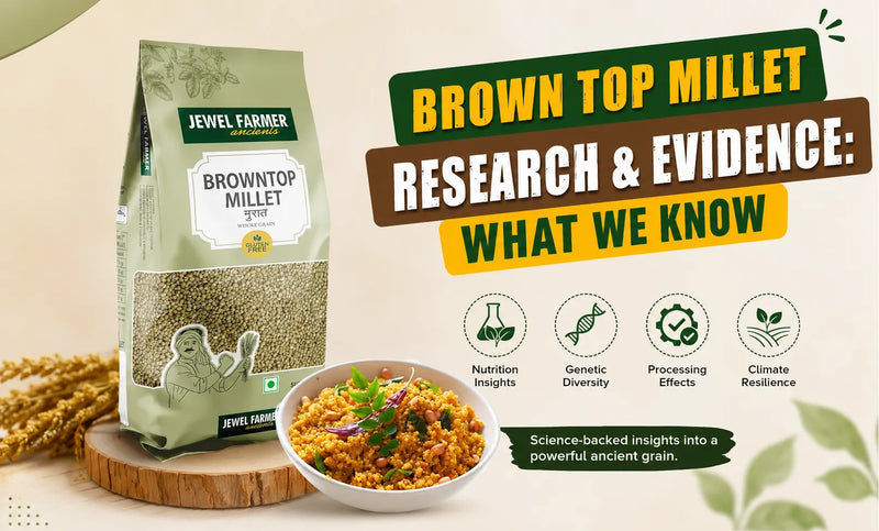 Brown Top Millet research