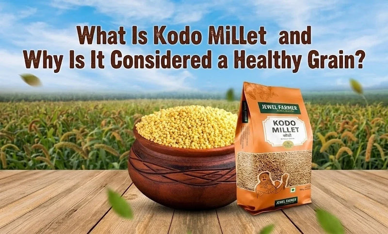  Kodo Millet 