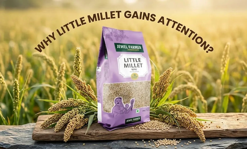 Little Millet Research