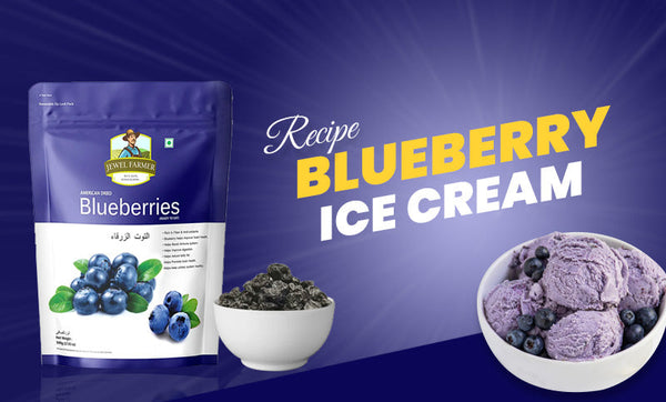 blueberry-icecream-recipe