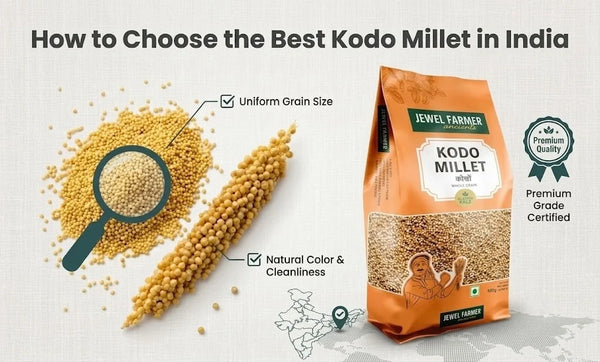 Best Kodo Millet 